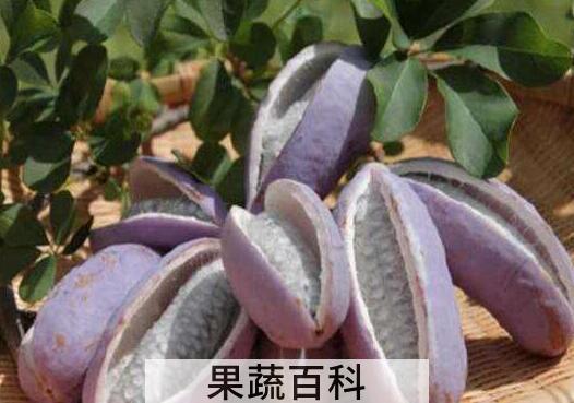 八月瓜皮泡酒的副作用