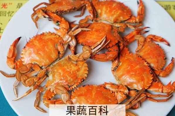 螃蟹怎么保存 活螃蟹怎么保存