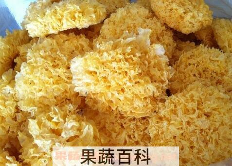 常见润肺食物有哪些