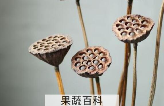 莲蓬干的功效与作用