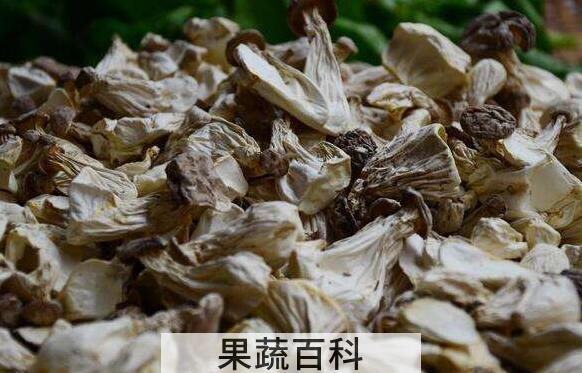 干白灵菇的功效与作用