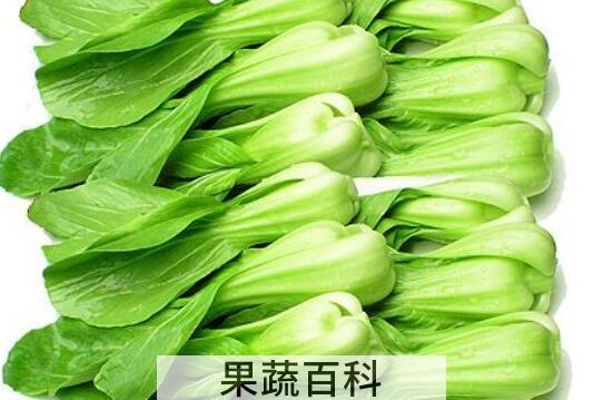 小油菜的功效与作用 小油菜的禁忌
