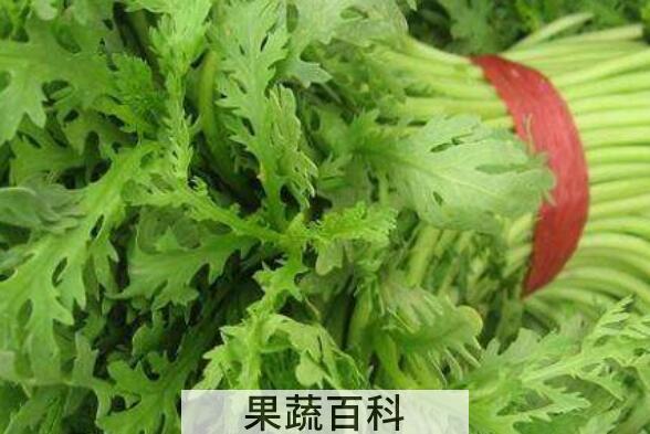野茼蒿的功效与作用 野茼蒿怎么吃