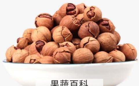 小山核桃的功效与作用 吃小山核桃的好处有哪些