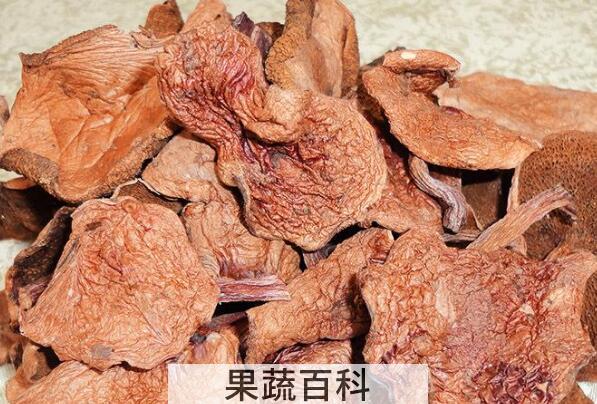 红乳牛肝菌的功效与作用
