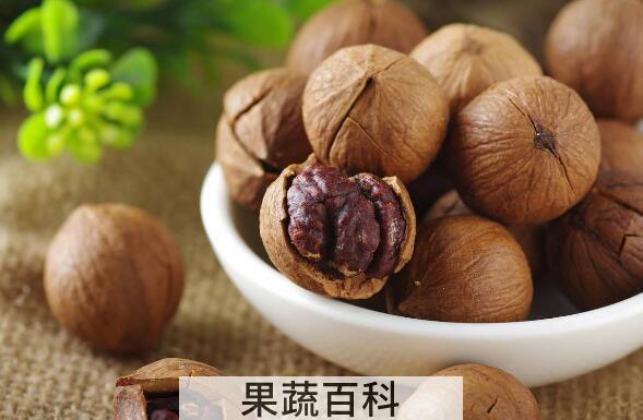 山核桃的功效与作用 山核桃怎么吃好
