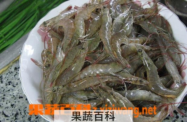 果蔬百科河虾的功效与作用