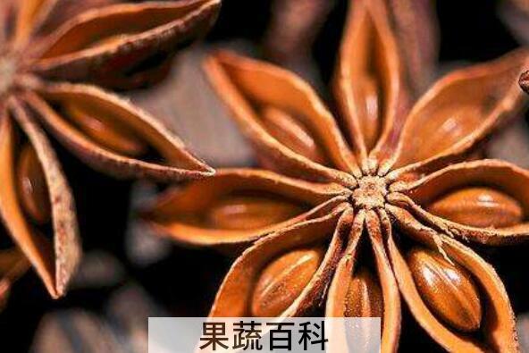 八角煮水的功效与作用及禁忌