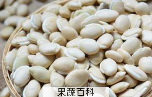 白扁豆的功效与作用 白扁豆怎么吃好