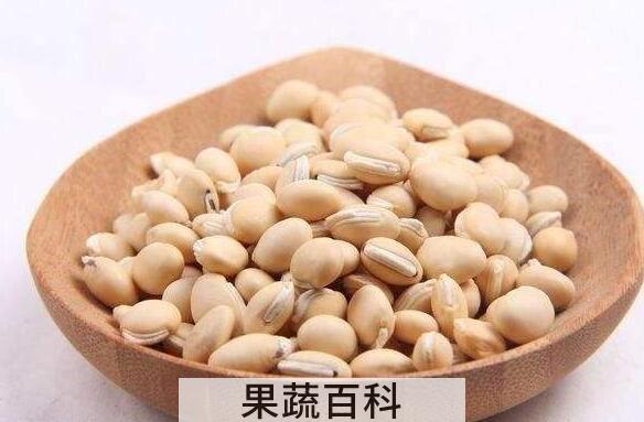 白扁豆的功效与作用 白扁豆怎么吃好