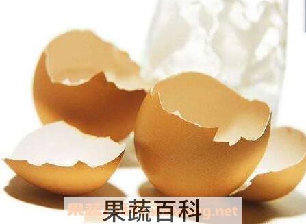 鸡蛋壳的妙用