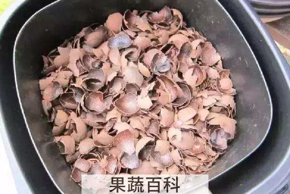 桂圆壳的功效与作用 桂圆壳的药用价值
