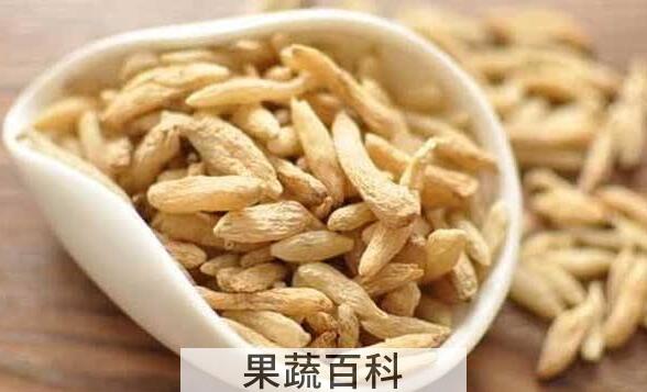 麦冬茶的功效与作用 麦冬泡水喝的五大禁忌