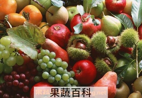 什么是阴性食物 什么是阳性食物