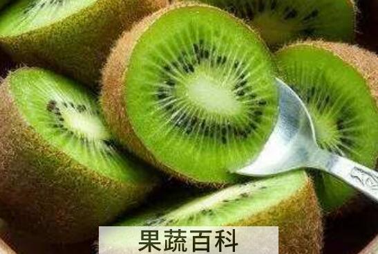 奇异果和猕猴桃的区别 吃奇异果的好处