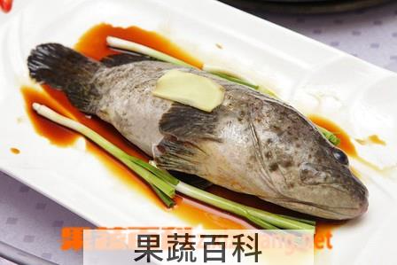 果蔬百科石斑鱼的功效与作用