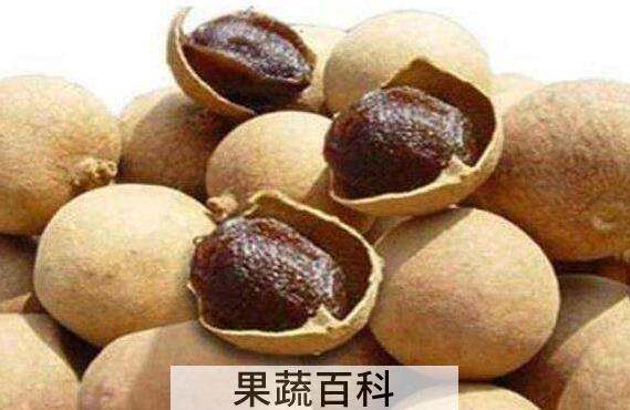 桂圆壳和核同煮的功效