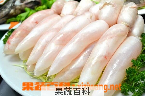 果蔬百科鱼鳔的功效与作用