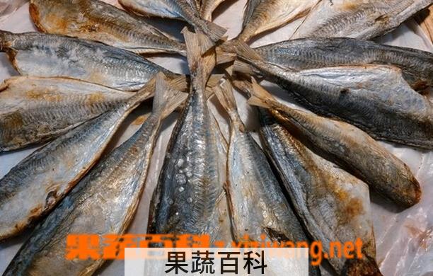 果蔬百科咸鱼的做法大全