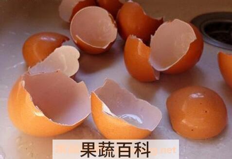 鸡蛋壳的作用