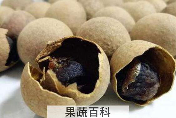 桂圆皮的功效与作用及食用方法