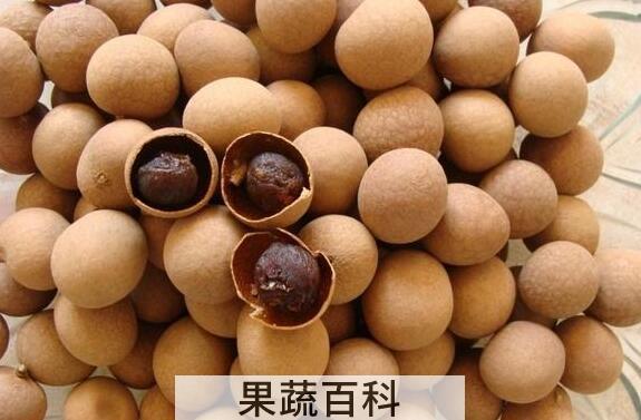 桂圆皮怎么泡水喝 桂圆皮泡水的功效与作用