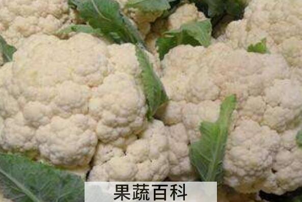 花野菜的功效和作用