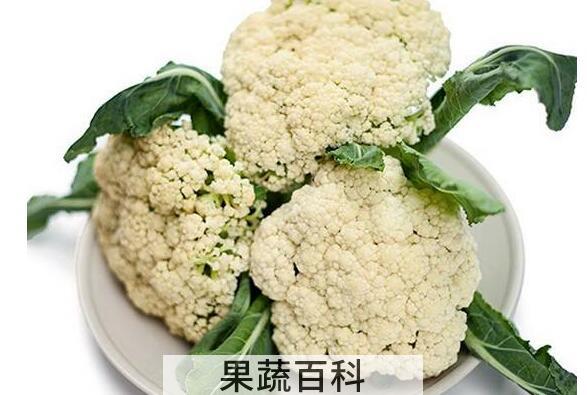 花野菜的功效和作用
