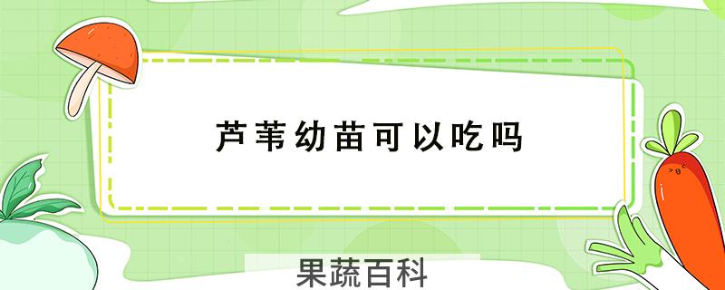 芦苇幼苗可以吃吗