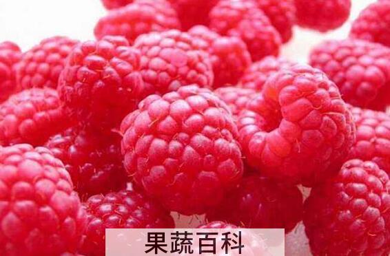 吃不完的树莓怎么保存 树莓如何长期保存