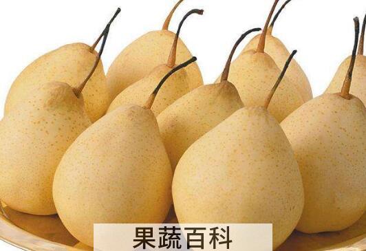 热鸭梨水的功效与作用