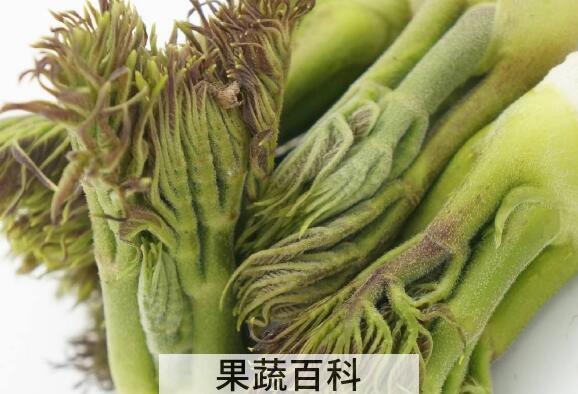 苦乐芽怎么做好吃 吃苦乐芽的好处