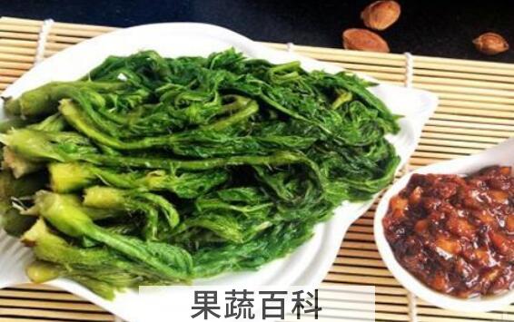 苦乐芽怎么做好吃 吃苦乐芽的好处