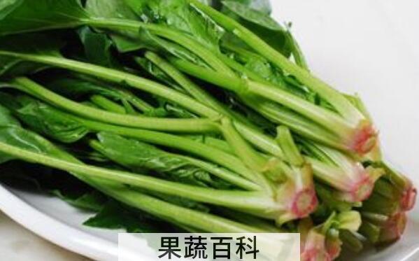 菠菜根的功效与作用及禁忌