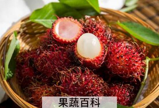 红毛丹怎么吃 红毛丹怎么吃不沾核皮