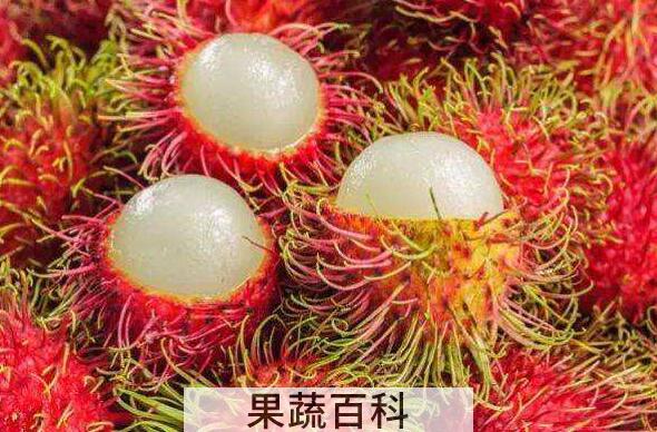 红毛丹怎么挑 怎么选红毛丹比较好