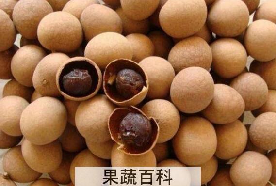 桂圆壳有什么作用与功效 