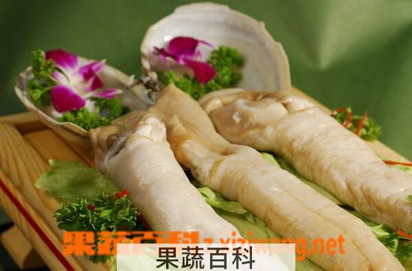 果蔬百科象拔蚌的功效与作用