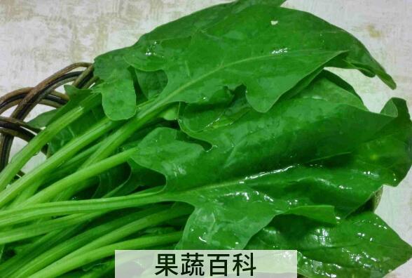 菠菜头的功效与作用