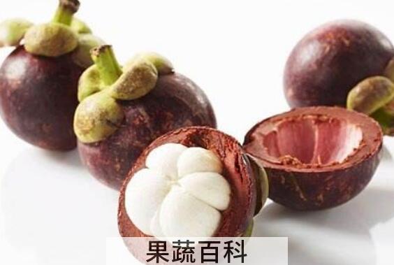 山竹壳的功效与作用有哪些