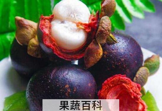 山竹壳的功效与作用有哪些