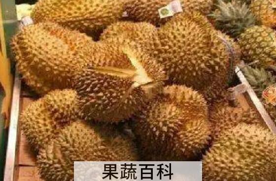 榴莲皮有什么功效 榴莲皮的妙用