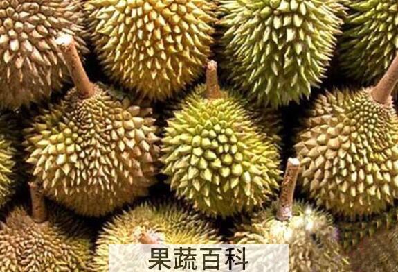 榴莲皮有什么功效 榴莲皮的妙用