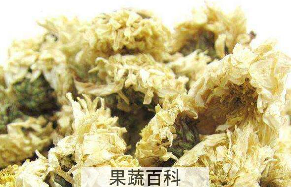 贡菊花的功效与作用 贡菊花的禁忌