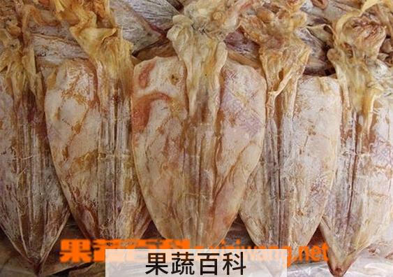 果蔬百科干鱿鱼的常见做法