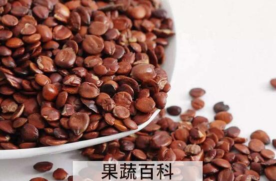 炒酸枣仁的功效与作用及禁忌症