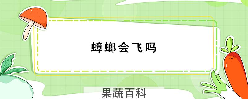 蟑螂会飞吗