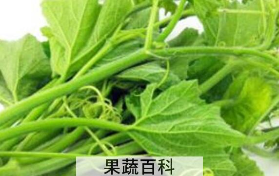 南瓜须的功效与作用 吃南瓜须的好处