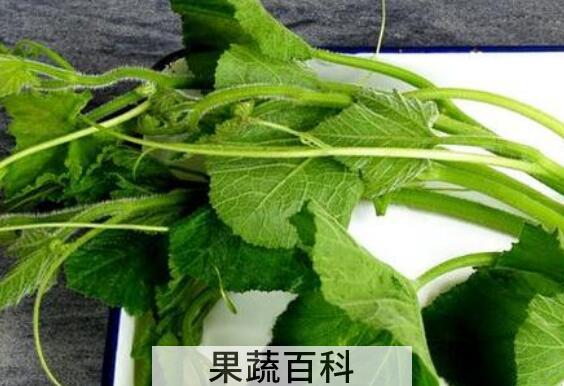 南瓜须的功效与作用 吃南瓜须的好处