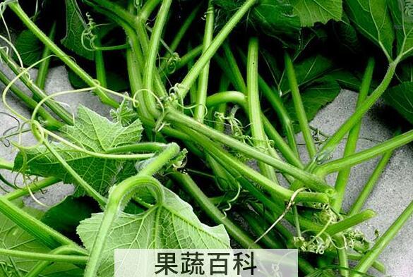 南瓜须水的功效与作用